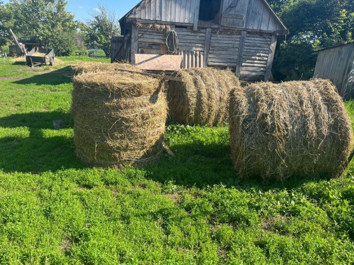 Тамбовчанин запасся сеном для скота с чужого поля 