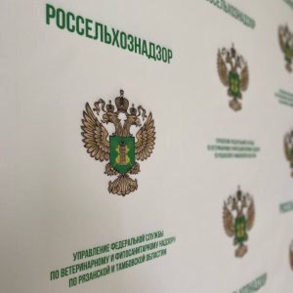 В Тамбовской области на зернохранилище нашли зараженные пшеницу и ячмень 
