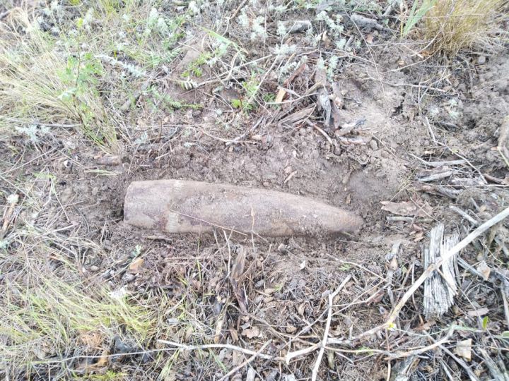 В лесу под Рассказово местный житель нашел снаряд от советской гаубицы