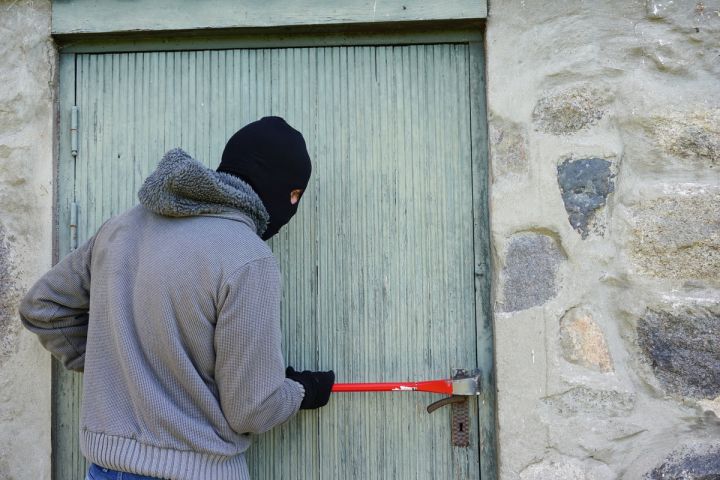 В Тамбовской области поймали четверых воришек