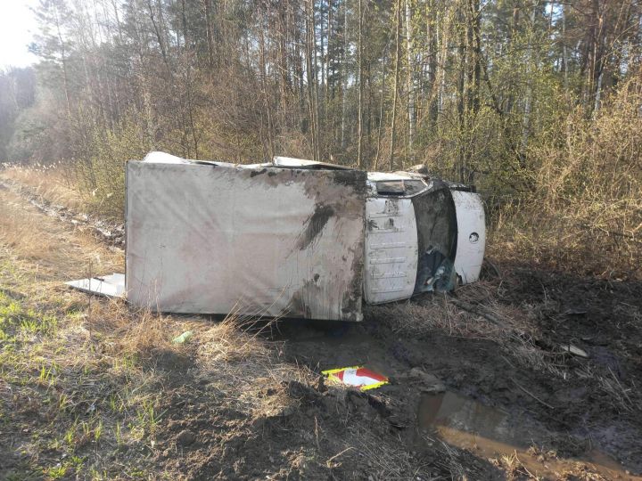 В Рассказовском районе грузовик врезался в дорожный знак и опрокинулся