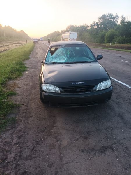 В Тамбовской области водитель иномарки сбил пешехода, который ночью перебегал дорогу