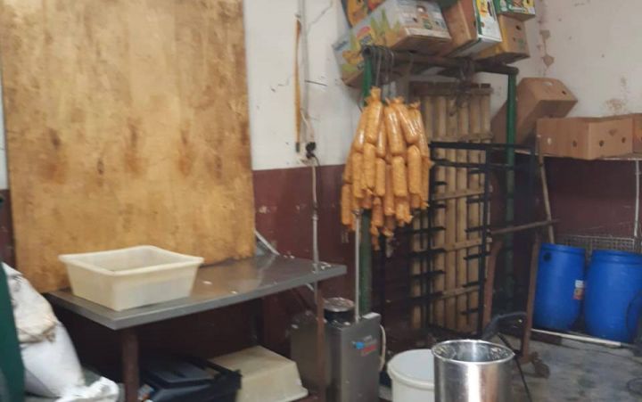 В Тамбове выяснили причину засилия крыс на ул. Сабуровской