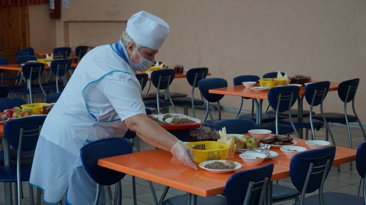 В меню школьных столовых Тамбова появятся куриные палочки, шницели и булгур