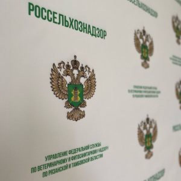 В Тамбовской области с начала года зафиксировали 43 случая бешенства 