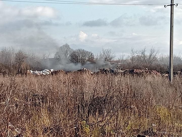 Под Тамбовом бизнесмен утроил свалку, куда свозили и сжигали строительный мусор 