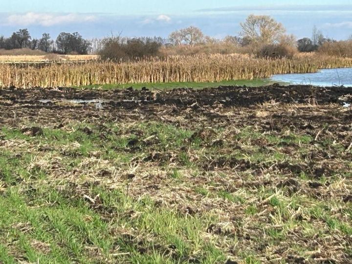 В Тамбовской области реке грозило загрязнение