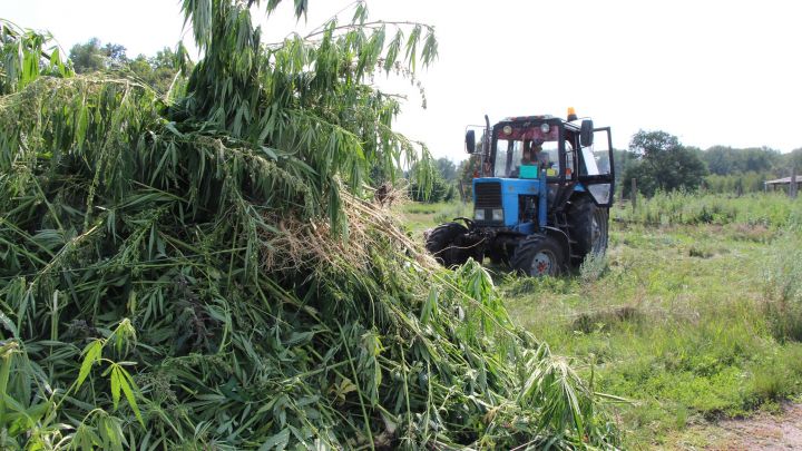 В Тамбовской области возбуждено 216 уголовных дел, связанных с незаконным оборотом наркотиков