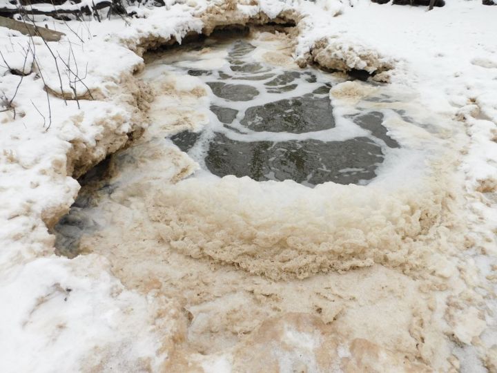 Возбуждено уголовное дело о загрязнении вод в реке Царевка Знаменского района