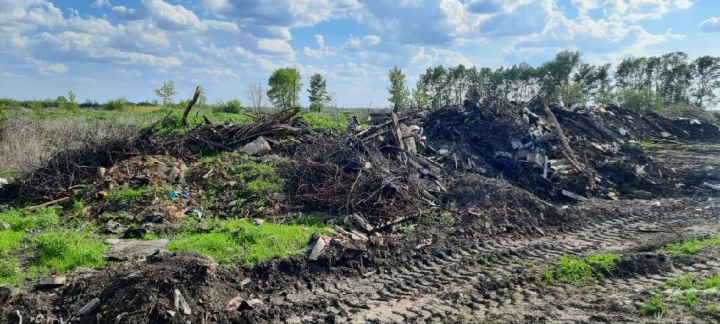 В Токаревском районе на сельхозземлях устроили свалку мусора