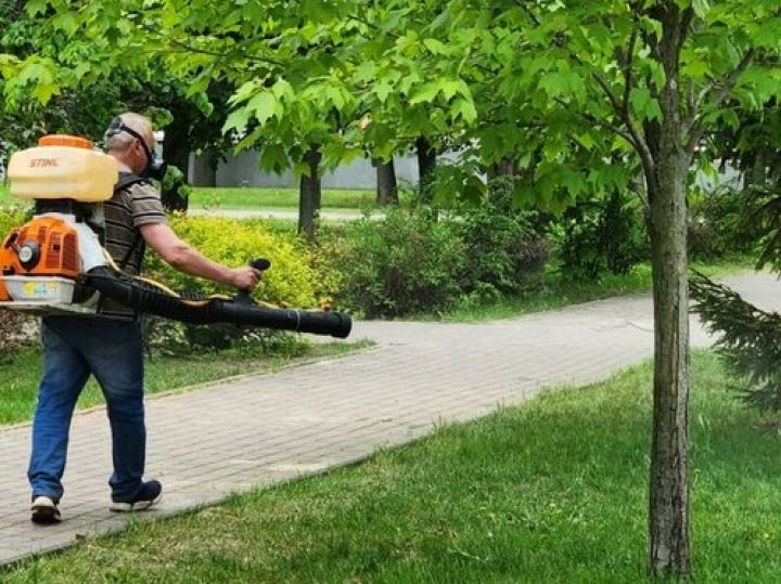 В городском парке культуры и отдыха провели акарицидную обработку