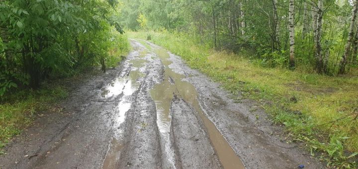 В Мичуринске после вмешательства прокуратуры привели в порядок улицу Проводников 