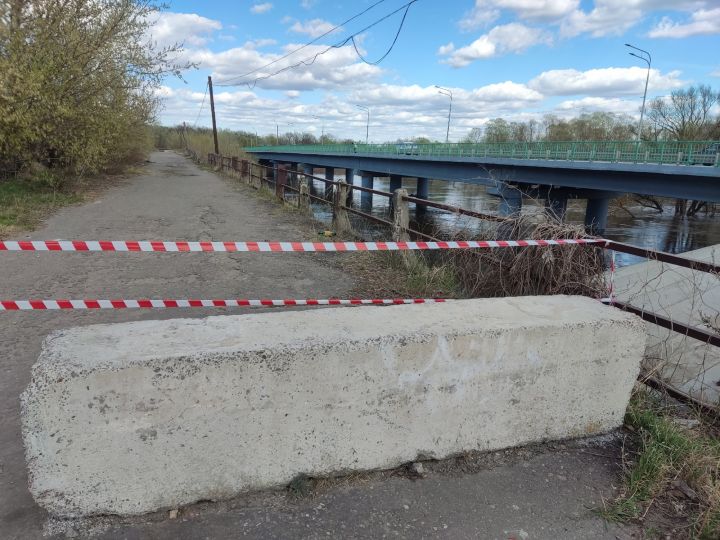 В Тамбовской области обвалился мост через Ворону