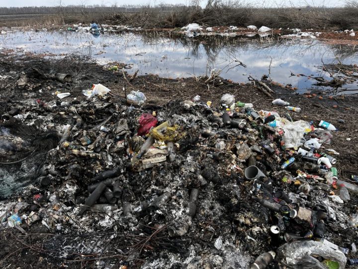 В Петровском районе обнаружено загрязнение почвы калием, фосфором и цинком