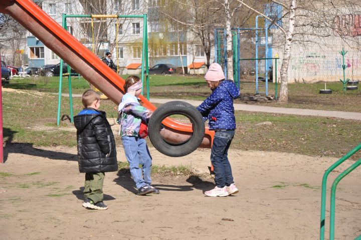 В Тамбовской области планируют бороться с бестарным вывозом мусора 