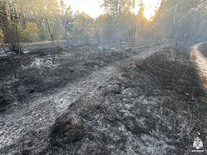 В Тамбовском районе ликвидировали пожар рядом с Тригуляем