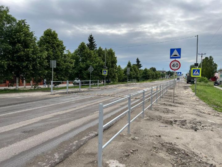 Житель Жердевки пожаловался на отсутствие пешеходного перехода у детской школы искусств