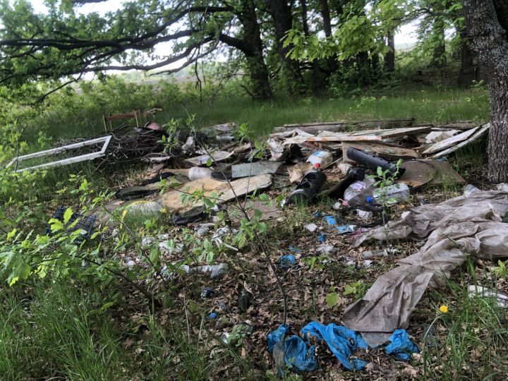 В лесном массиве у р.п. Сосновка нашли огромную свалку