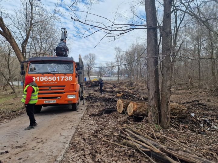 В Мичуринске появится Сквер Литераторов